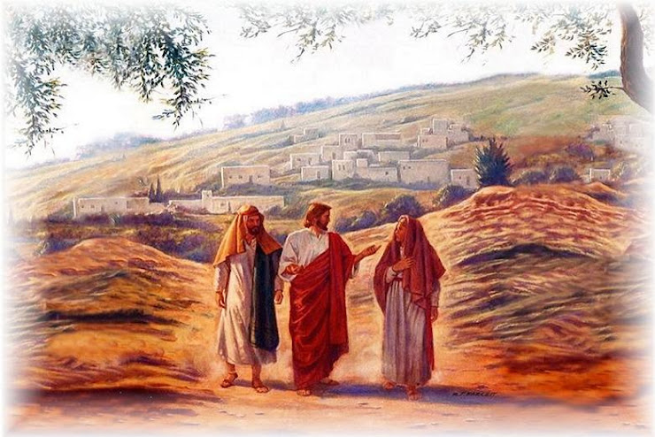 Chi siamo
