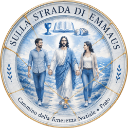CDT prato